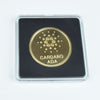 40mm Gold Bitcoin Coin with Acrylic Square Case