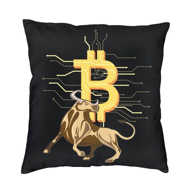 Crypto Pillow Case